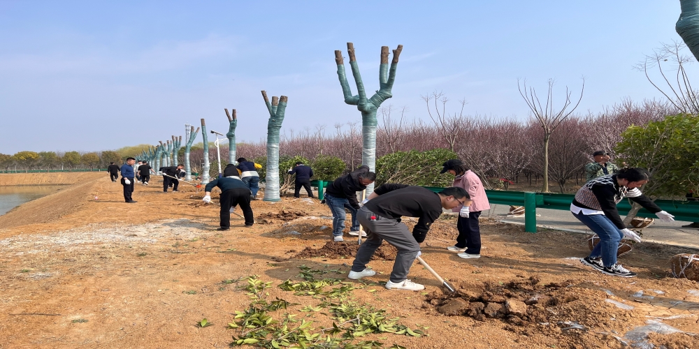 黨建引領(lǐng)共植綠 凝心聚力譜新篇 ——和合生態(tài)、德嘉置業(yè)黨支部赴小廟基地義務植樹